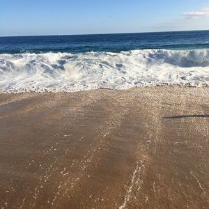 Meet your Posher, Irma